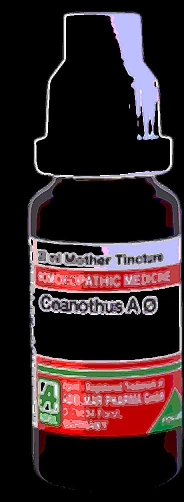 Adel Ceanothus Amer Mother Tincture Q