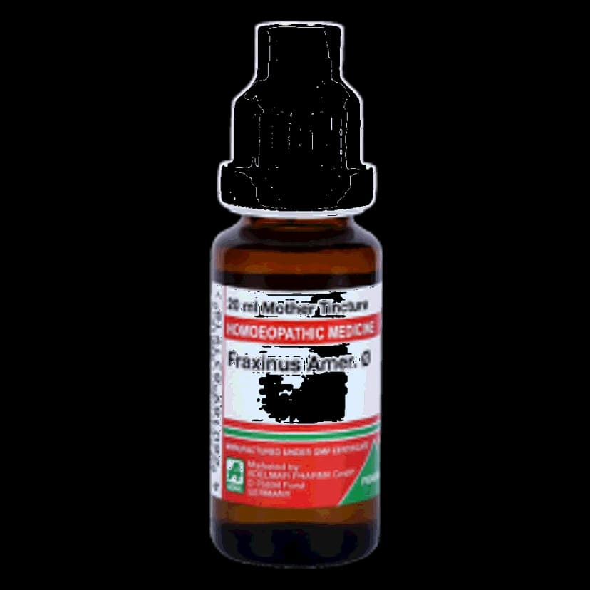 Adel Fraxinus Amer Mother Tincture Q
