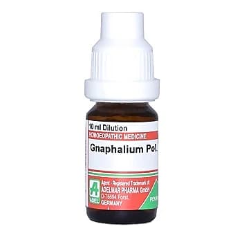 Adel Gnaphalium Pol 6 Ch Dilution