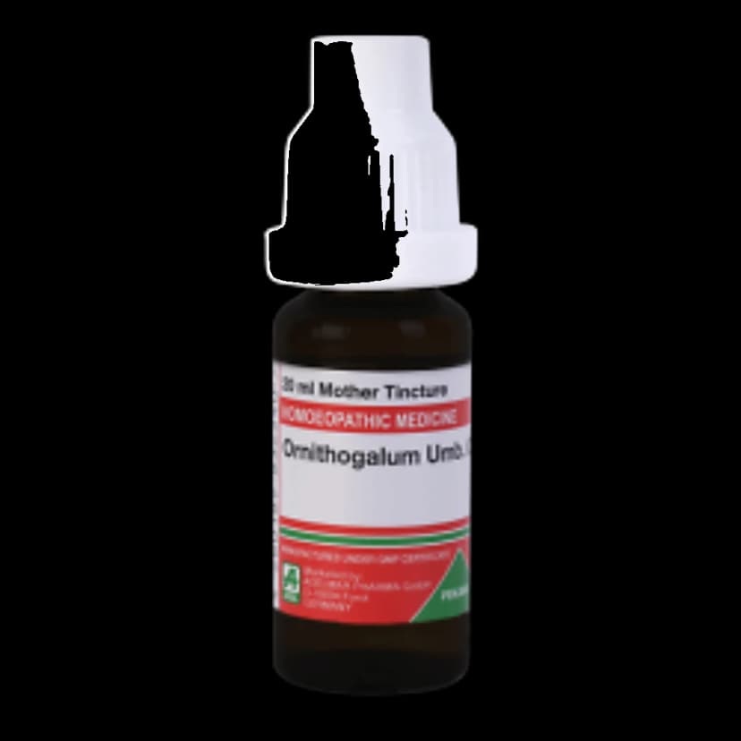 Adel Ornithogalum Umb Mother Tincture Q