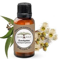 All Naturals Eucalyptus  Essential Oil