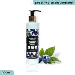 Ayuveer Blueberry & Tea Tree Conditioner
