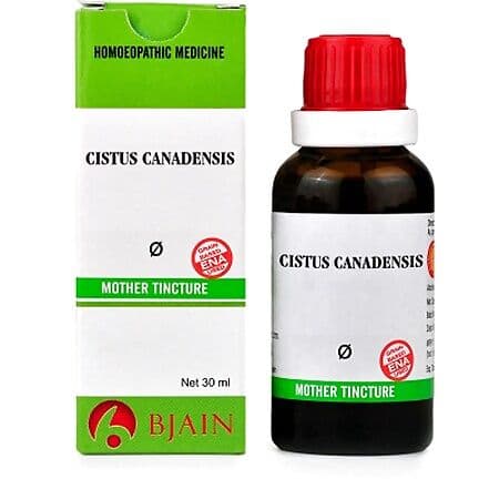 B Jain Cistus Canadensis Mother Tincture Q