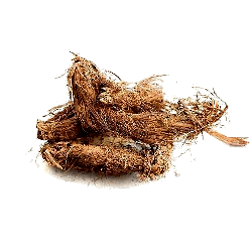 Balu Herbals Jatamansi