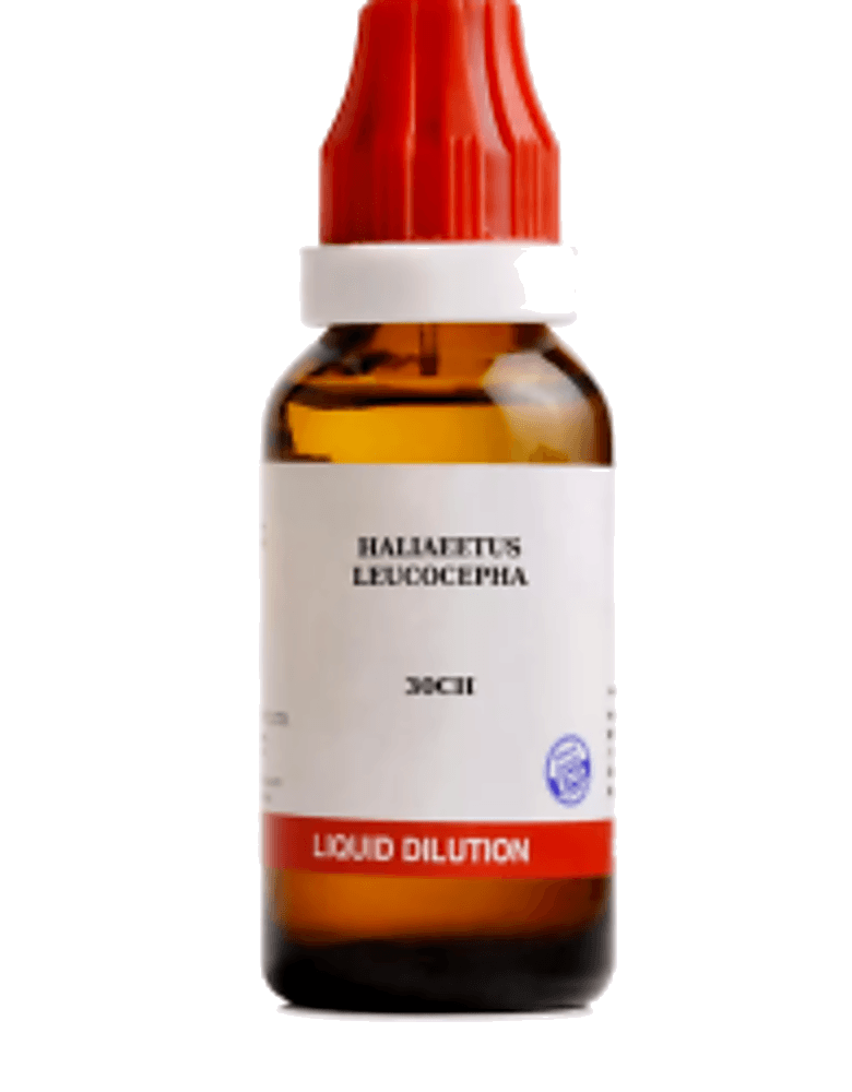 Bjain Haliaeetus Leucocepha 30 Ch