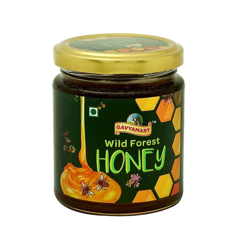 Gavyamart Organic pure wild forest honey