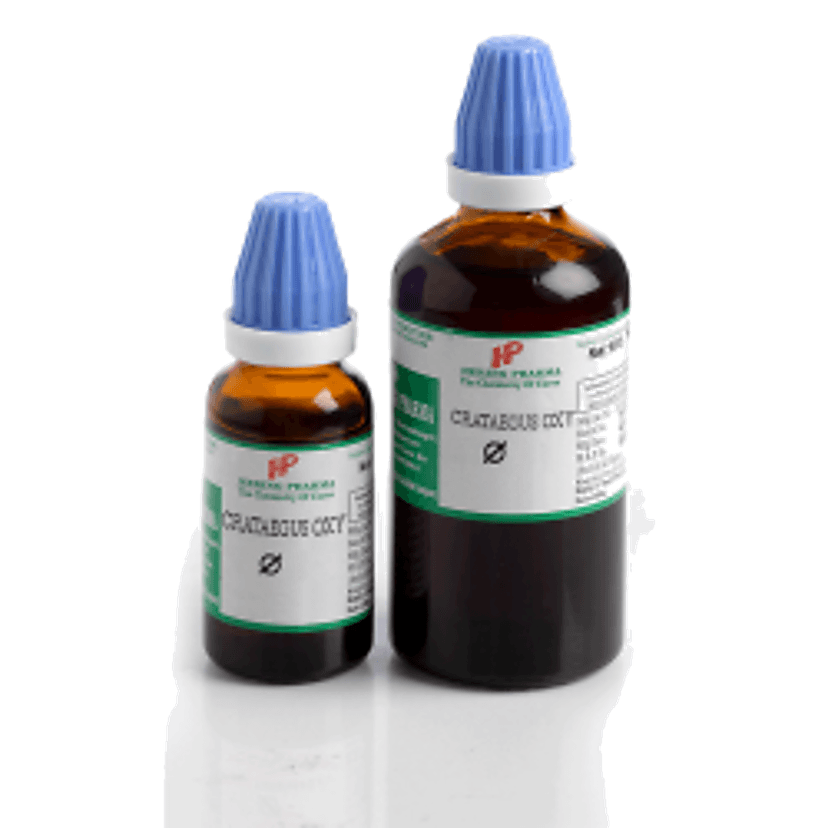 Hering Crataegus Ox Q