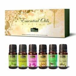 Indus Valley  Essential Oils Gift Pack