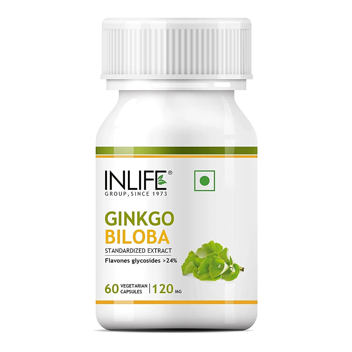 Inlife Ginkgo Biloba Extract 120Mg