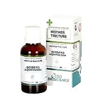 Ldd Bioscience Berberis Aquifolium 1X Q