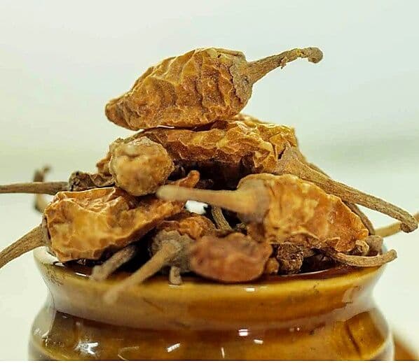 Mor Milagai (Buttermilk Chillies Vathal)