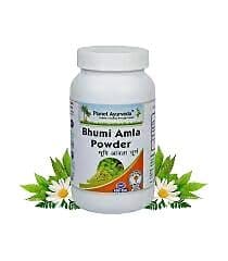 Planet Ayurveda Bhumi Amla Powder