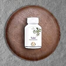 Pravek Tulsi