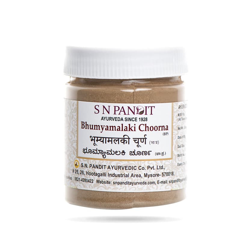 S N Pandit Ayurveda Bhumyamalaki Choorna