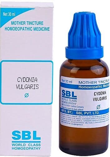 Sbl Cydonia Vulgaris Q