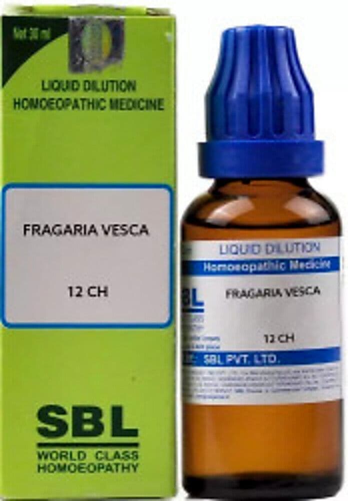 Sbl Fragaria Vesca Dilution 12 Ch