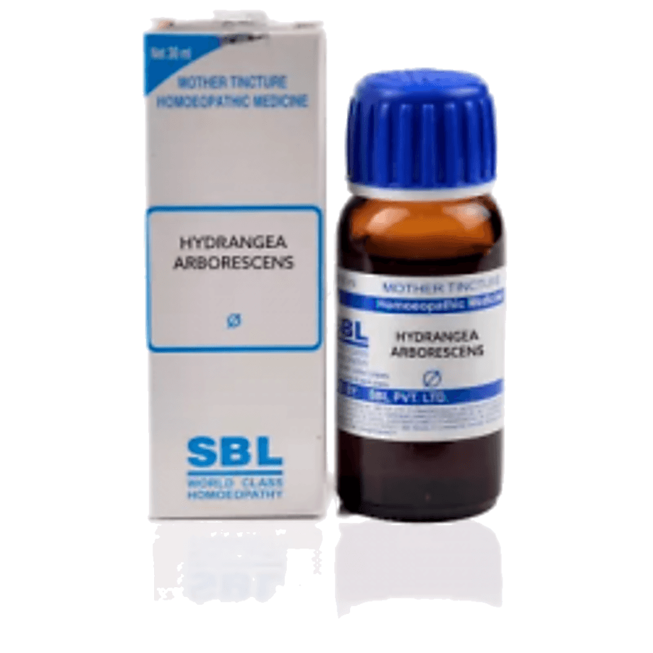 Sbl Hydrangea Arborescens 1X (Q)