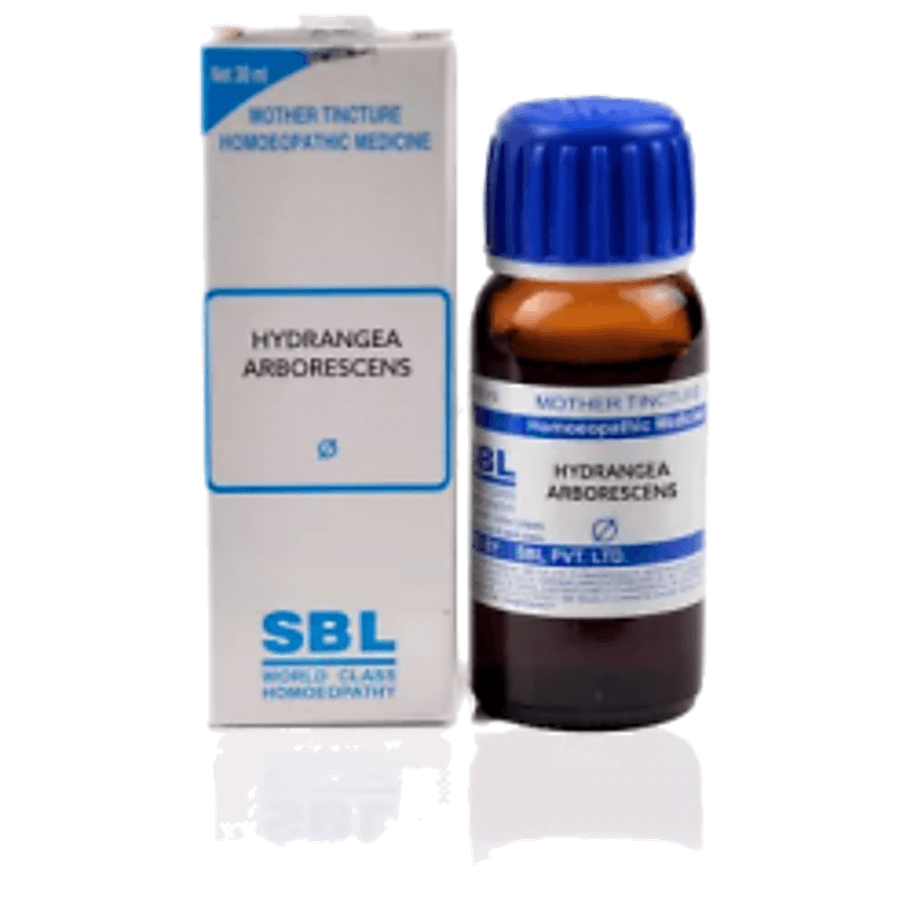 Sbl Hydrangea Arborescens 1X (Q)