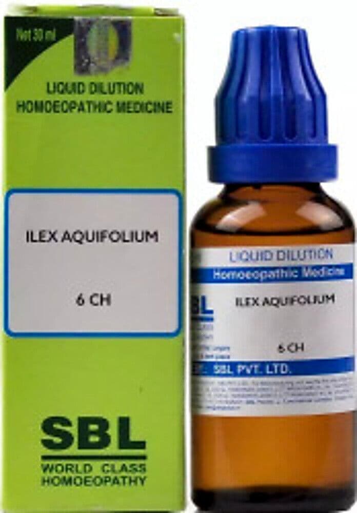 Sbl Ilex Aquifolium Dilution 6 Ch