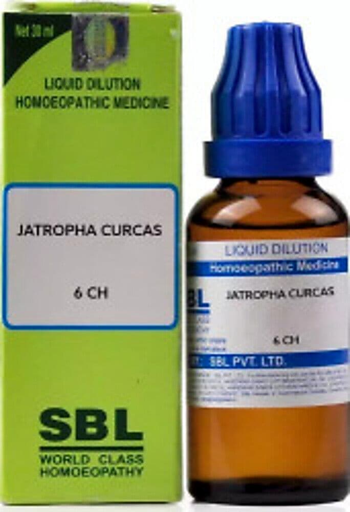 Sbl Jatropha Curcas Dilution 6 Ch