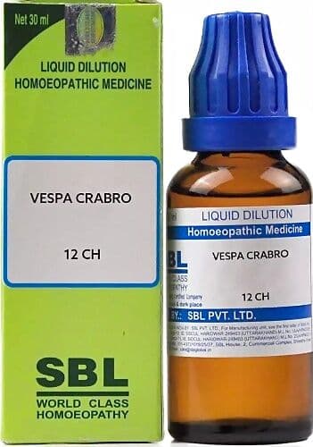 Sbl Vespa Crabro Dilution 12 Ch