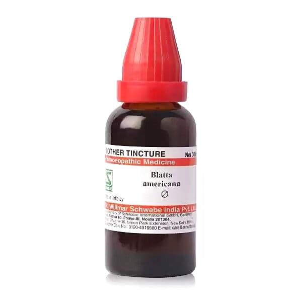 Schwabe Blatta Americana Mother Tincture Q