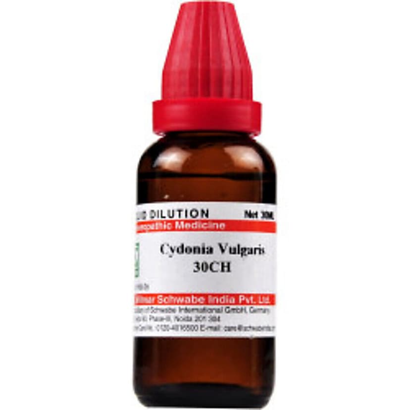Schwabe Cydonia Vulgaris 30 Ch Dilutions