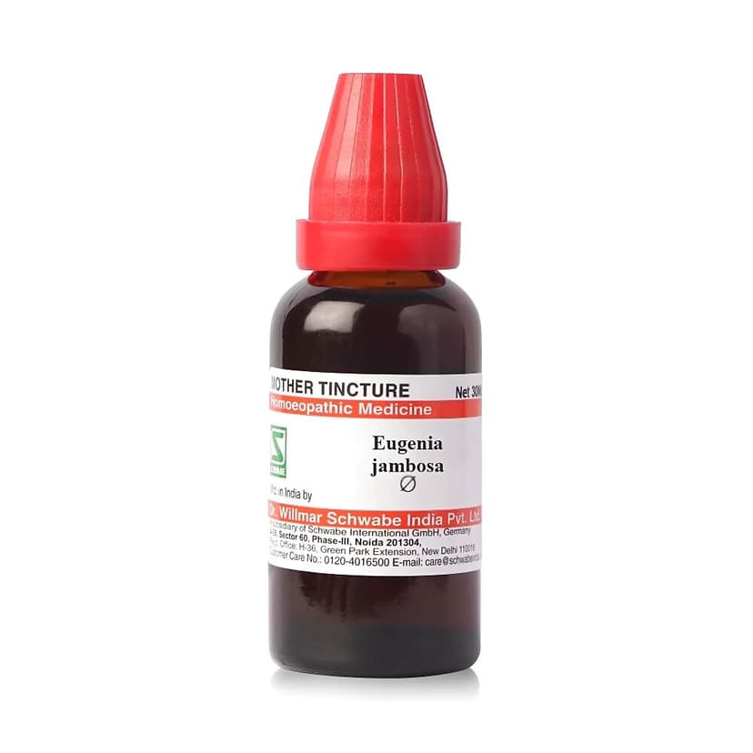 Schwabe Eugenia Jambosa Mother Tincture Q