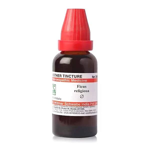 Schwabe Ficus Religiosa Mother Tincture Q
