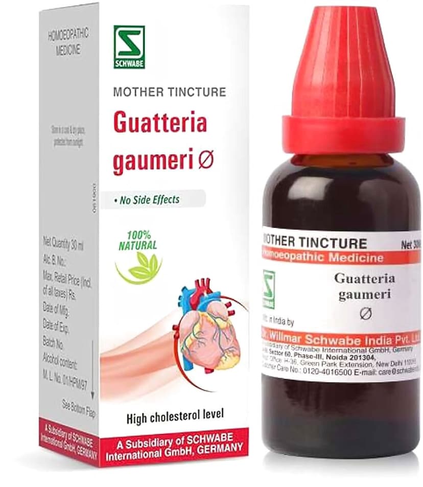 Schwabe Guatteria Gaumeri Q