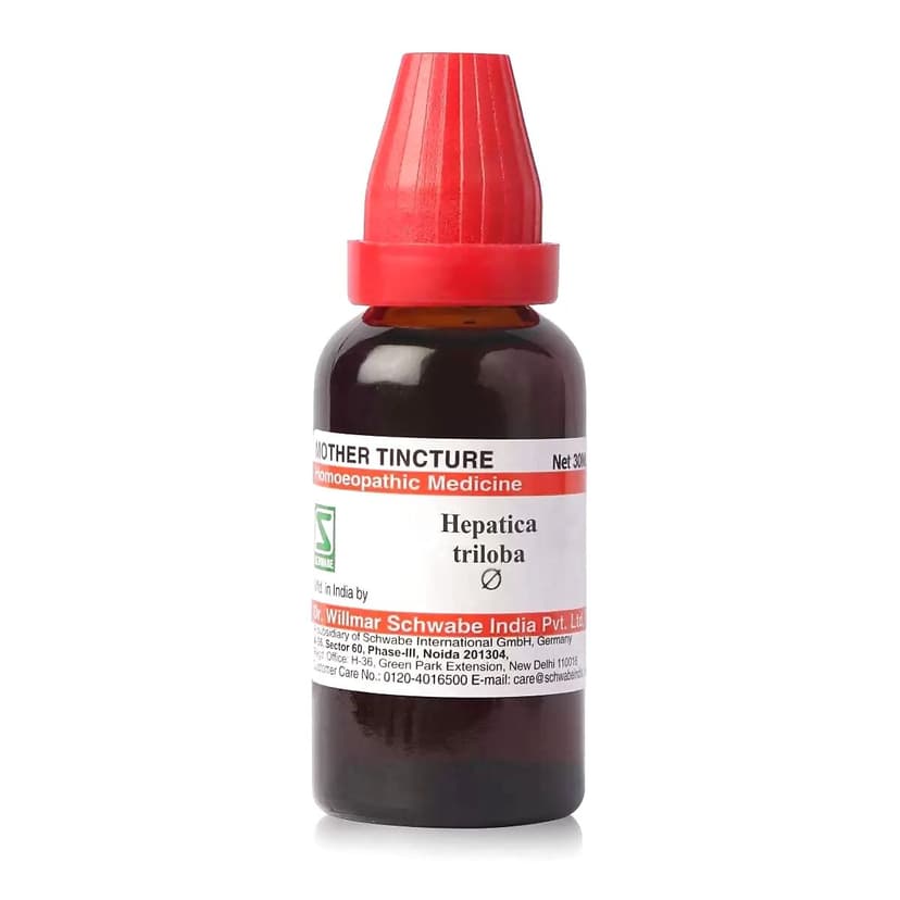 Schwabe Hepatica Triloba Mother Tincture Q