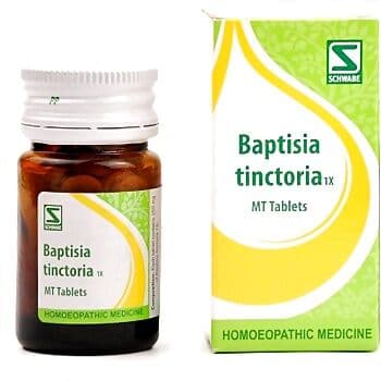 Schwabe Homeopathy Baptisia Tinctoria-1X