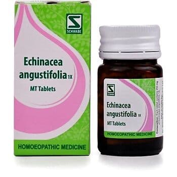 Schwabe Homeopathy Echinacea Angustifolia