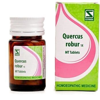 Schwabe Homeopathy Quercus Robur-1X
