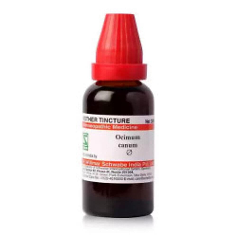 Schwabe Ocimum Canum Mother Tincture Q