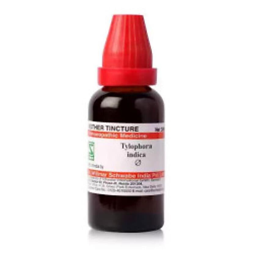 Schwabe Tylophora Indica Mother Tincture Q