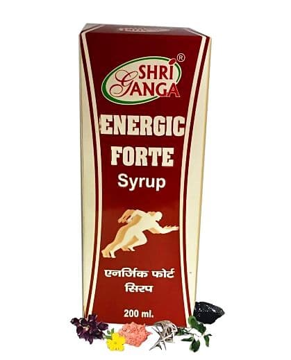 Shri Ganga Energic Forte Syrup	