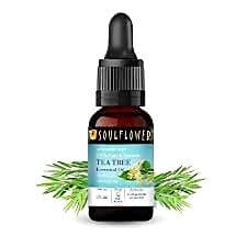 Soul Flower Tea Tree Essential Oil