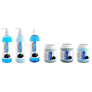 The Body Care Blueberry Body Spa Set