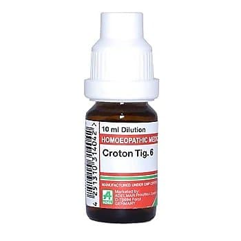 Adel Croton Tig 6 Ch Dilution