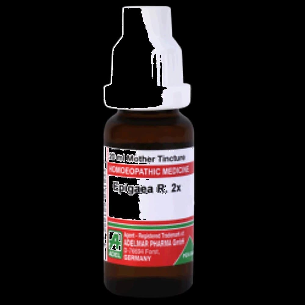 Adel Epigaea R 2X Mother Tincture Q