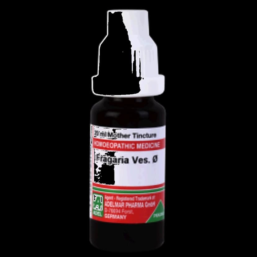Adel Fragaria Ves Mother Tincture Q