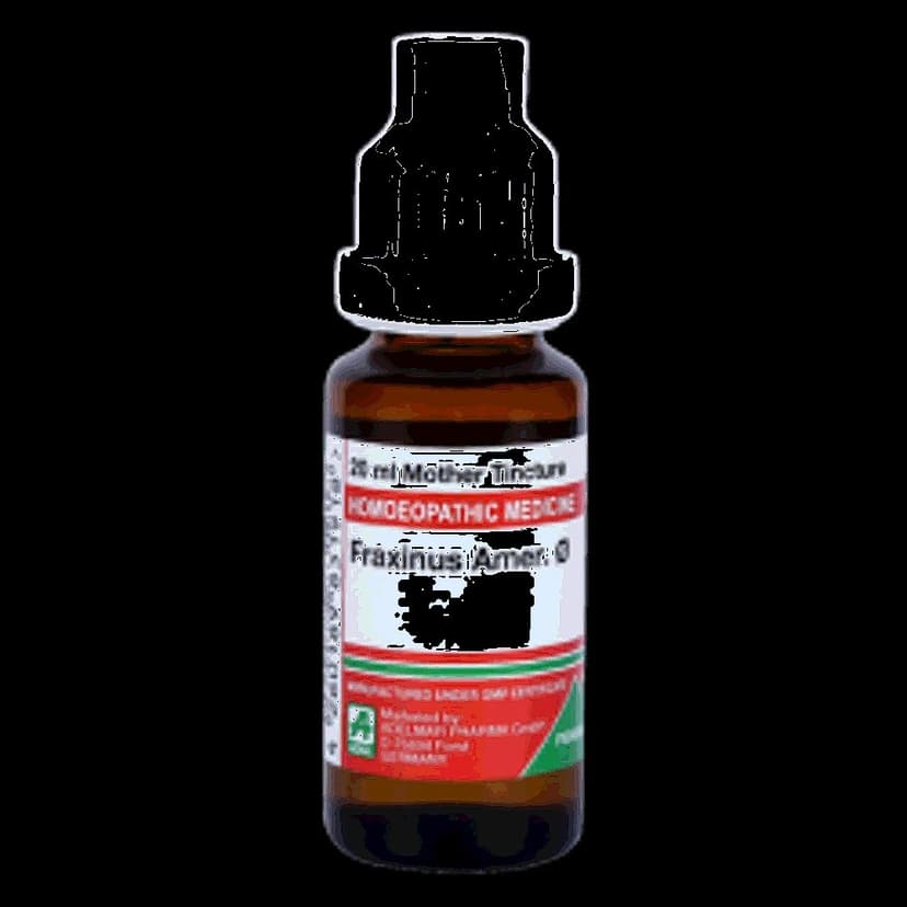 Adel Fraxinus Amer Mother Tincture Q