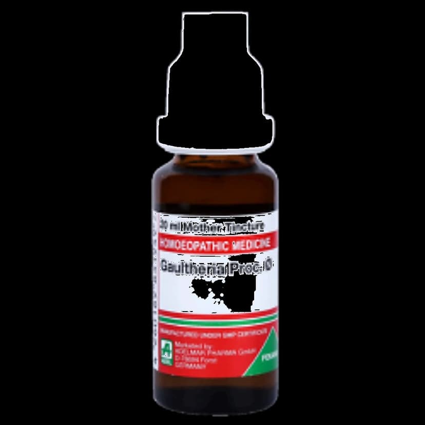 Adel Gaultheria Proc Mother Tincture Q