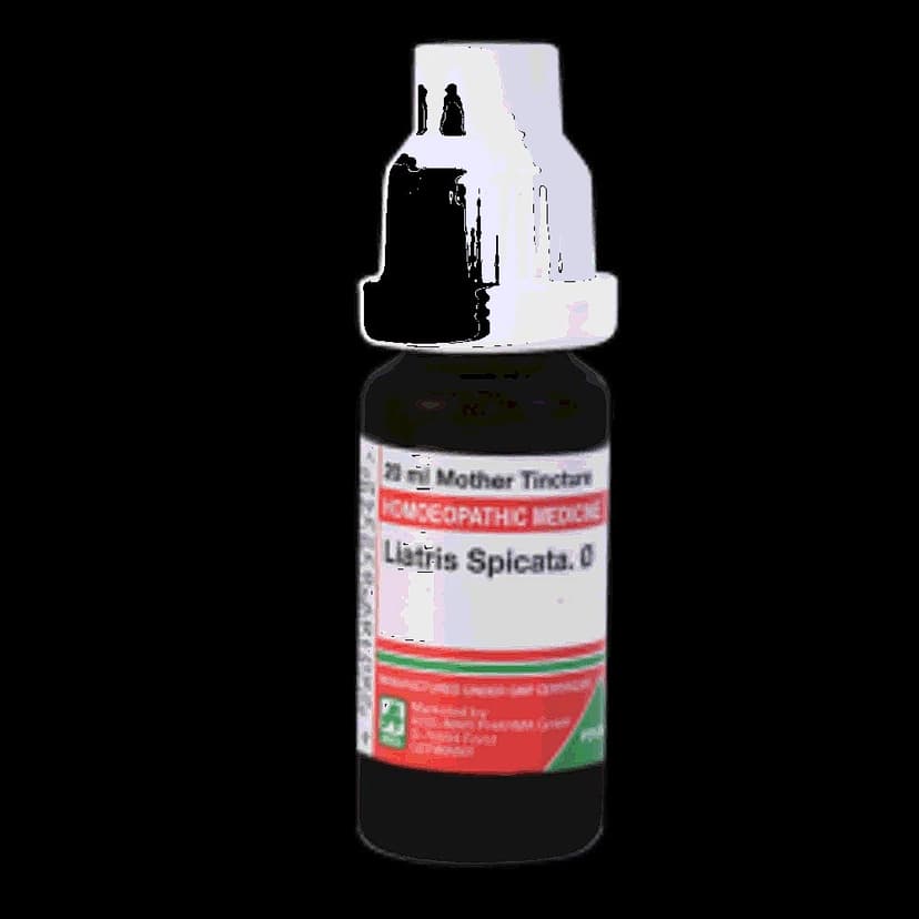 Adel Liatris Spicata Mother Tincture Q