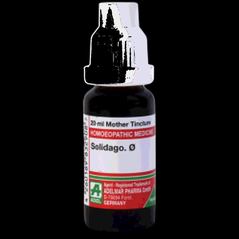 Adel Solidago Mother Tincture Q