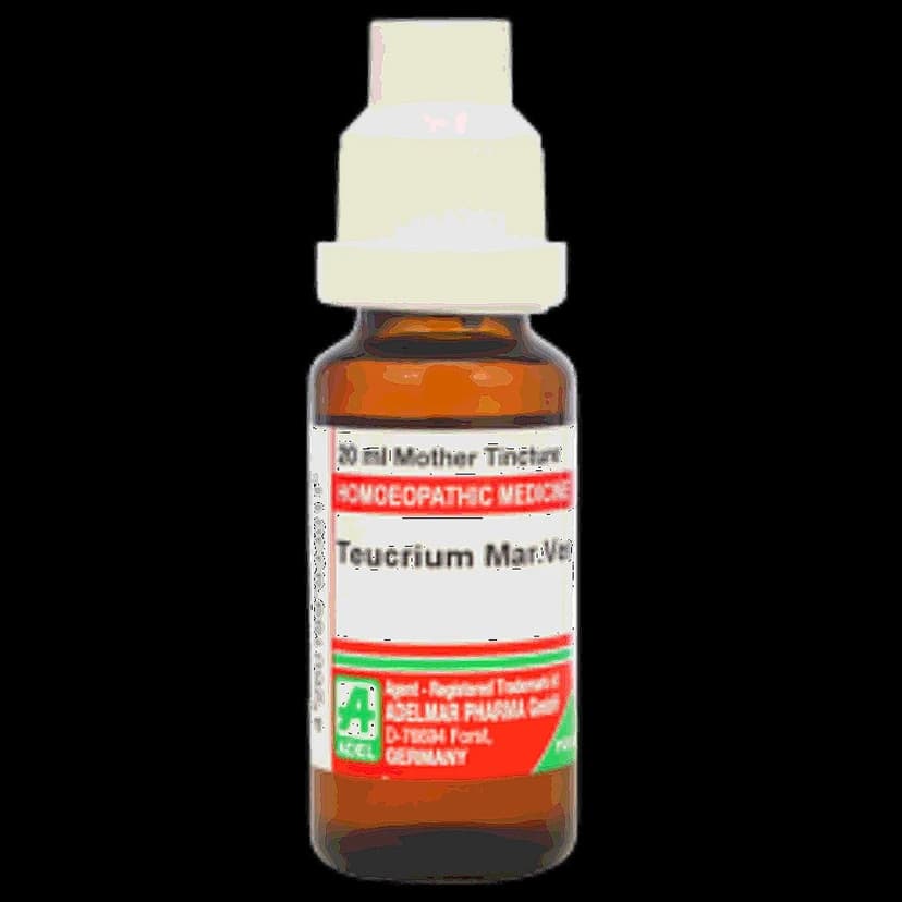 Adel Teucrium Mar Ver Mother Tincture Q