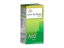 recent-product