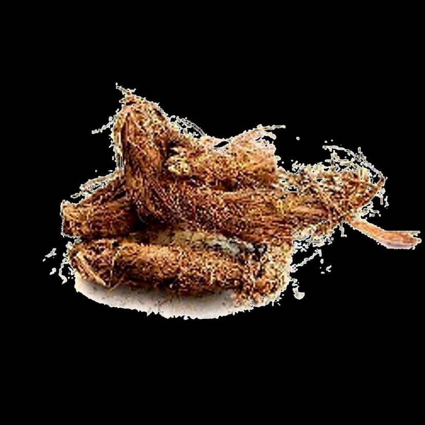 Balu Herbals Jatamansi