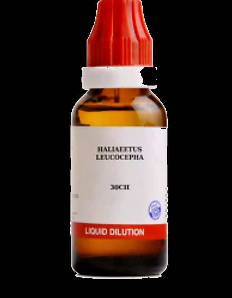 Bjain Haliaeetus Leucocepha 30 Ch